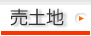 売土地