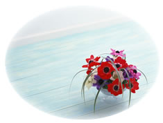 ホームサポートオダケ|富山県のリフォーム、不動産物件のご紹介