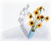 ホームサポートオダケ|富山県のリフォーム、不動産物件のご紹介