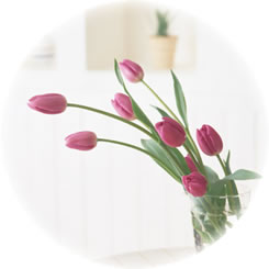 ホームサポートオダケ|富山県のリフォーム、不動産物件のご紹介